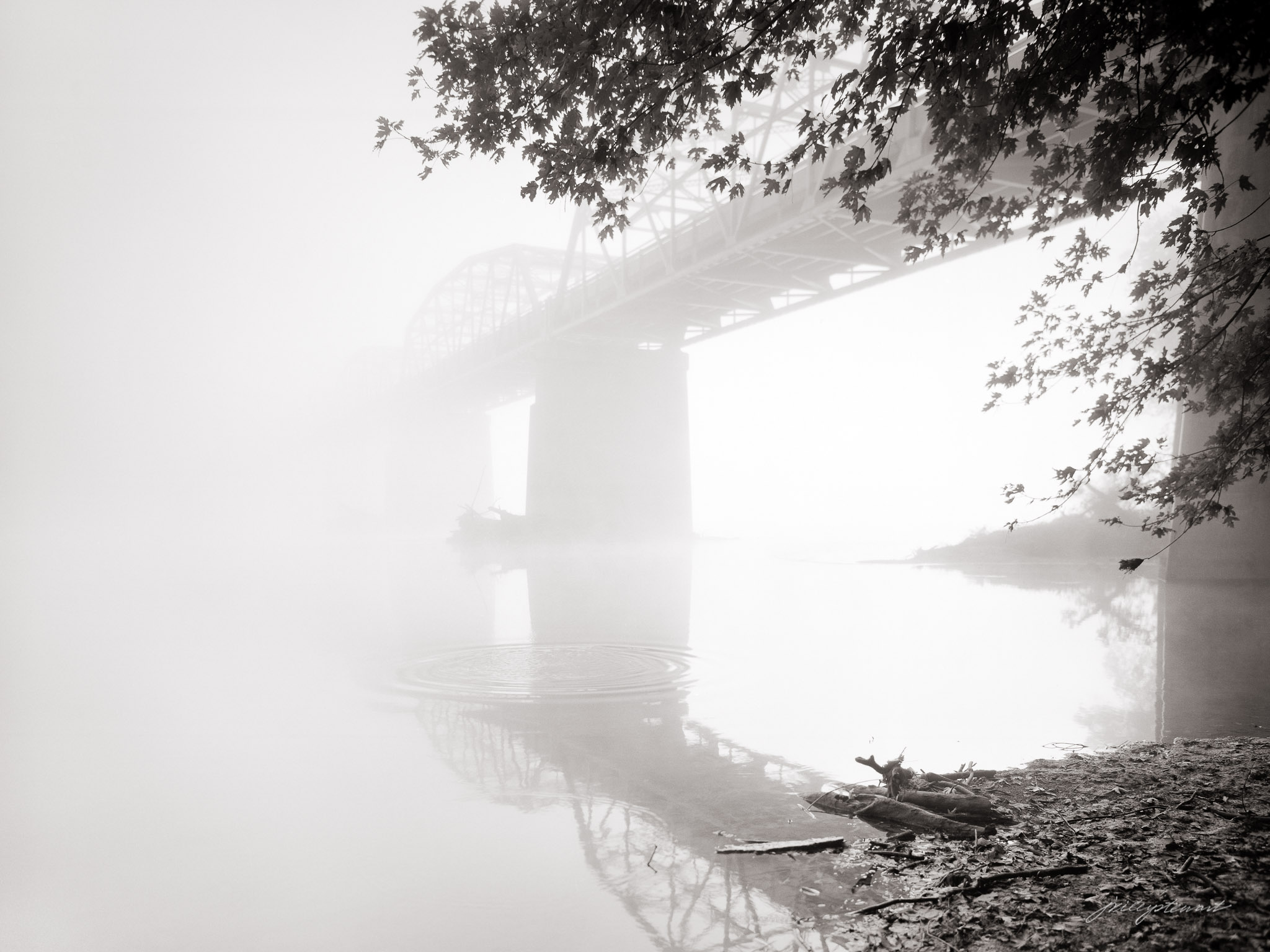 Bridge to Nowhere